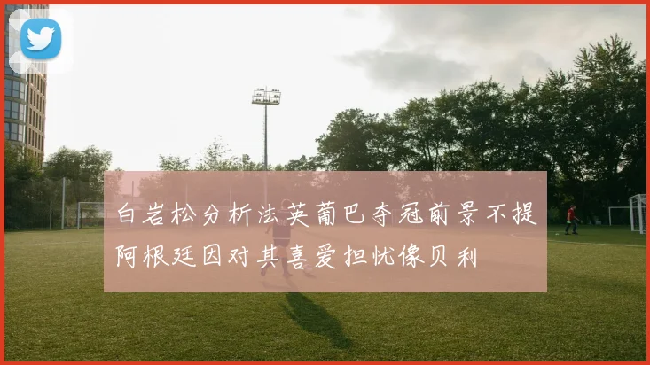 白岩松分析法英葡巴夺冠前景不提阿根廷因对其喜爱担忧像贝利