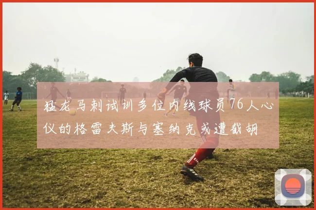猛龙马刺试训多位内线球员76人心仪的格雷夫斯与塞纳克或遭截胡